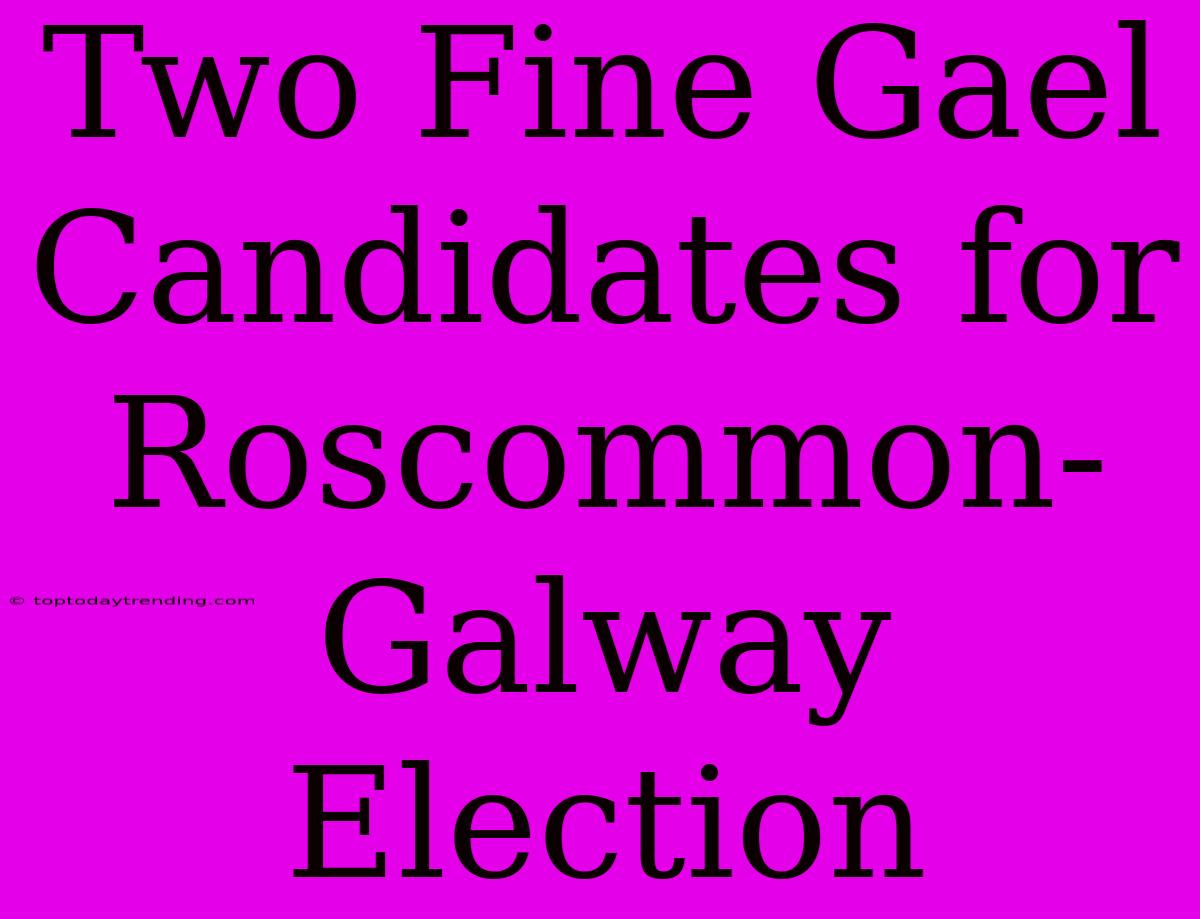 Two Fine Gael Candidates For Roscommon-Galway Election