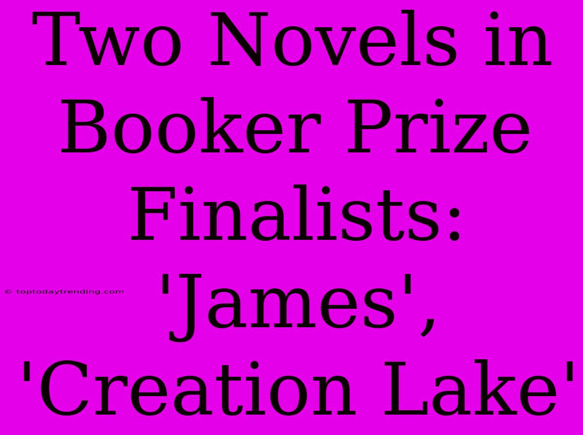 Two Novels In Booker Prize Finalists: 'James', 'Creation Lake'