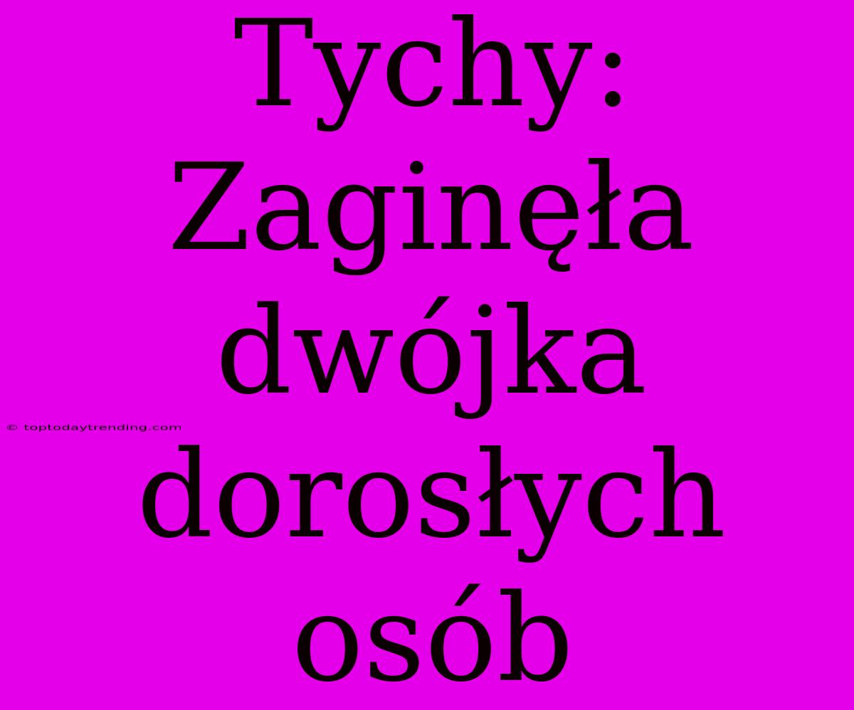 Tychy: Zaginęła Dwójka Dorosłych Osób