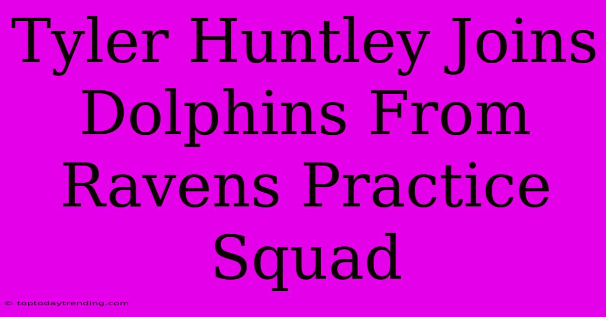 Tyler Huntley Joins Dolphins From Ravens Practice Squad