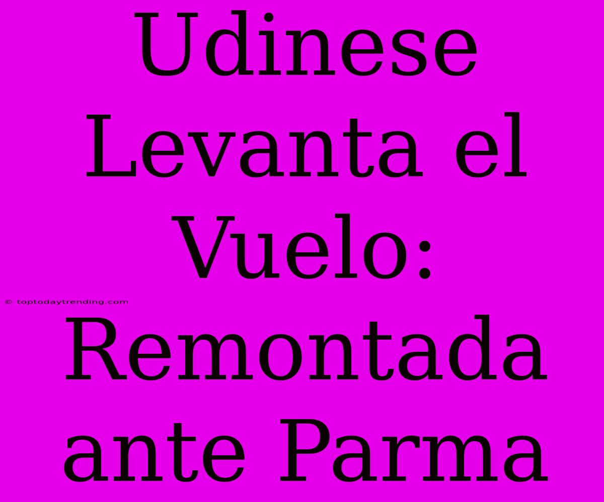 Udinese Levanta El Vuelo: Remontada Ante Parma