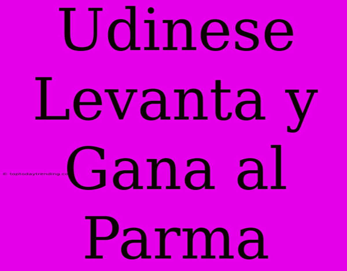 Udinese Levanta Y Gana Al Parma