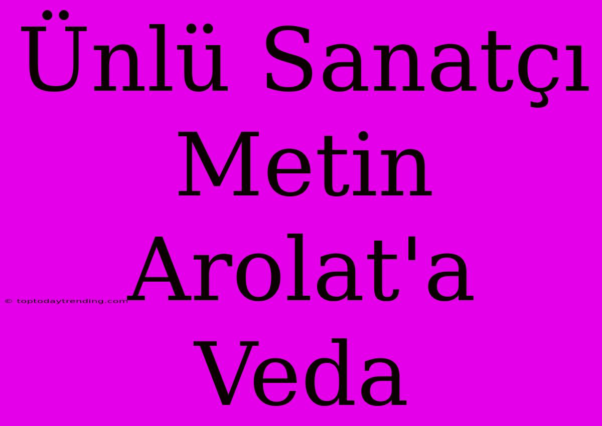 Ünlü Sanatçı Metin Arolat'a Veda