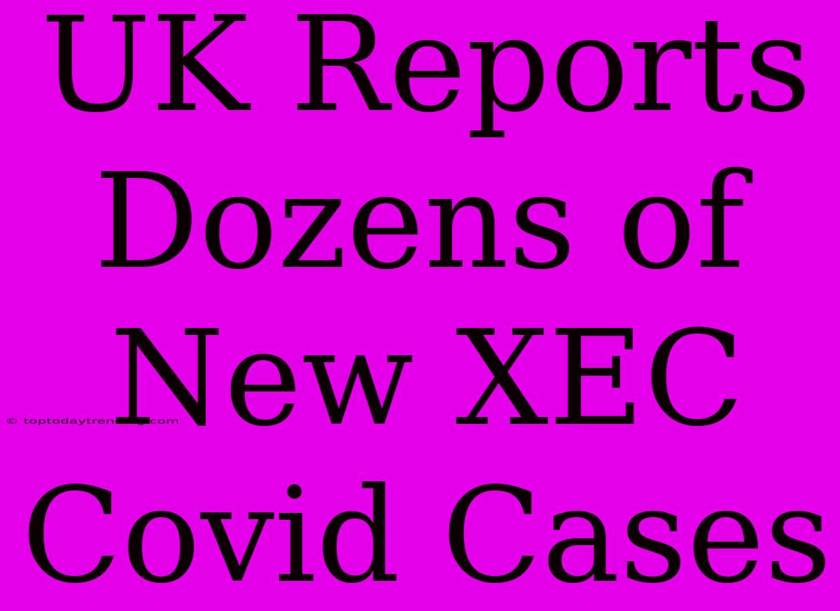 UK Reports Dozens Of New XEC Covid Cases