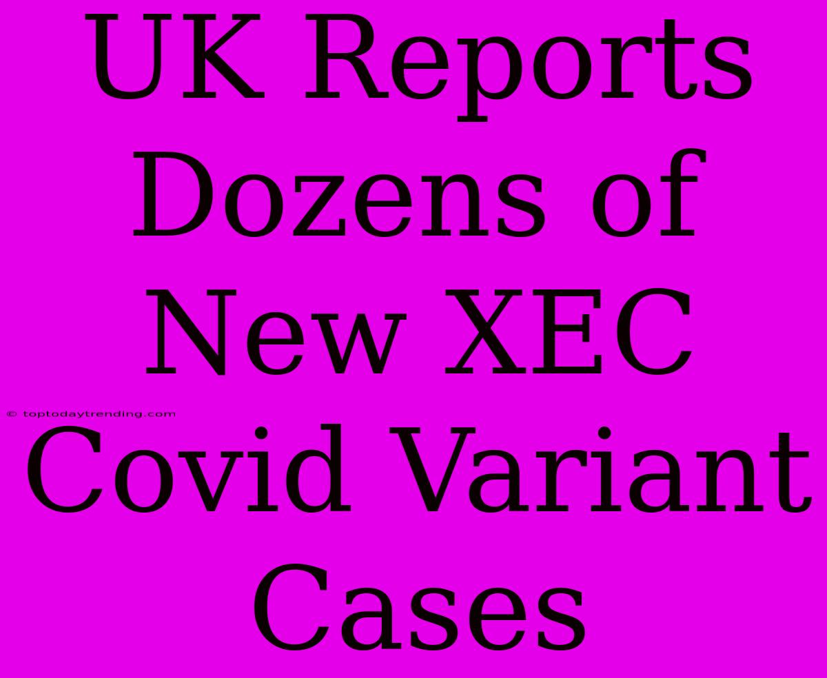 UK Reports Dozens Of New XEC Covid Variant Cases