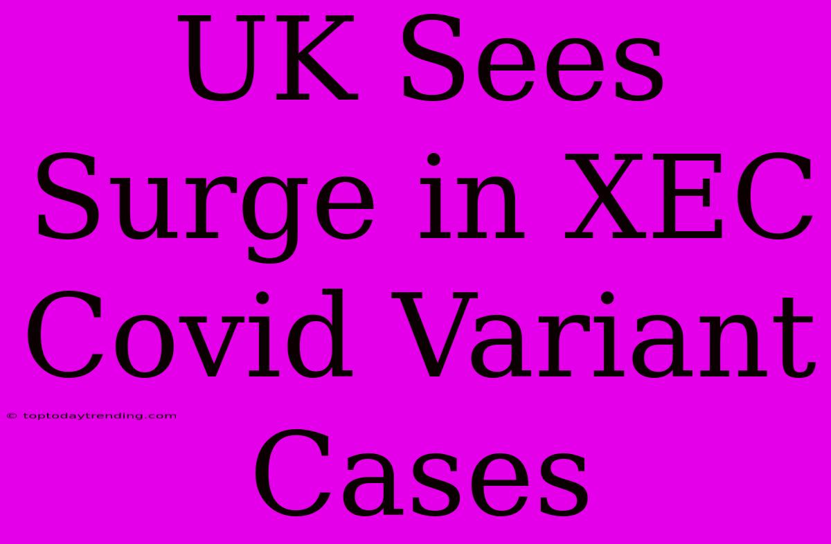 UK Sees Surge In XEC Covid Variant Cases