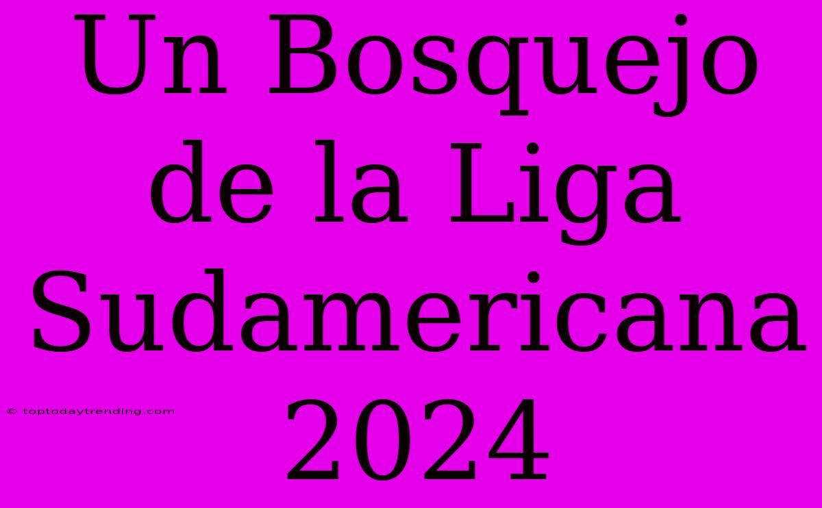 Un Bosquejo De La Liga Sudamericana 2024