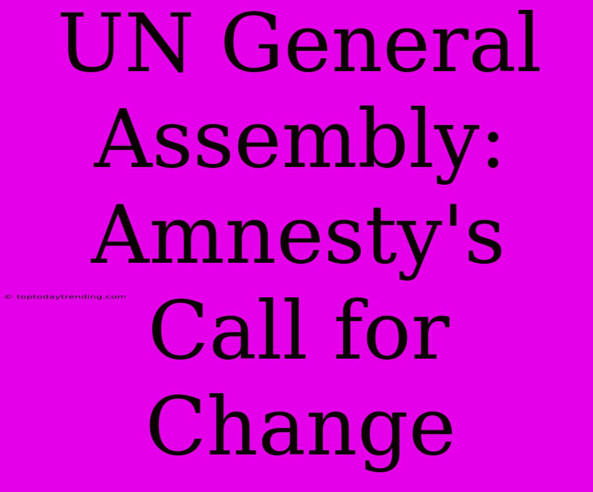 UN General Assembly: Amnesty's Call For Change