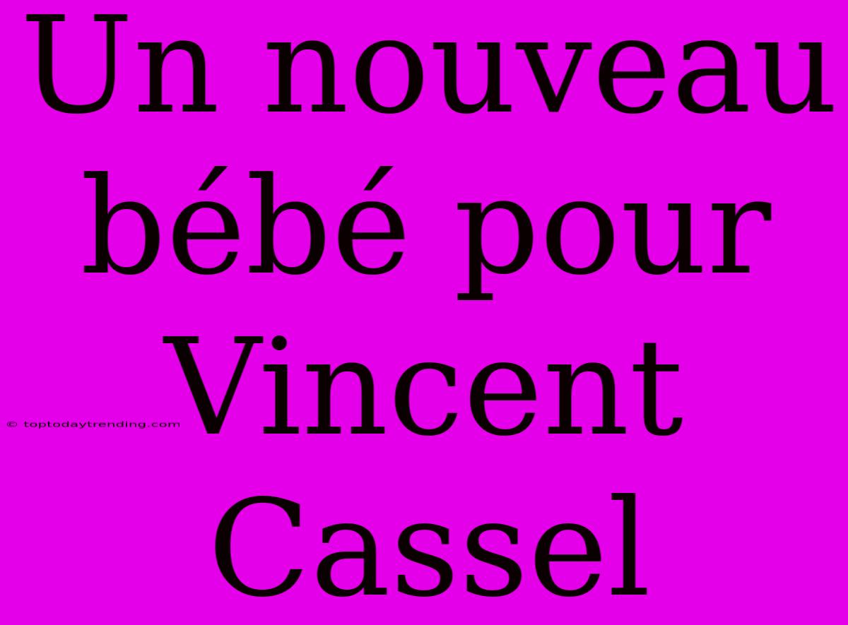 Un Nouveau Bébé Pour Vincent Cassel