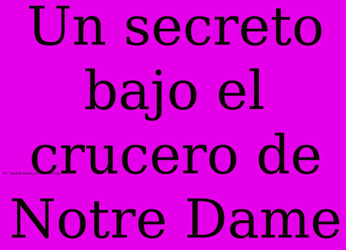 Un Secreto Bajo El Crucero De Notre Dame