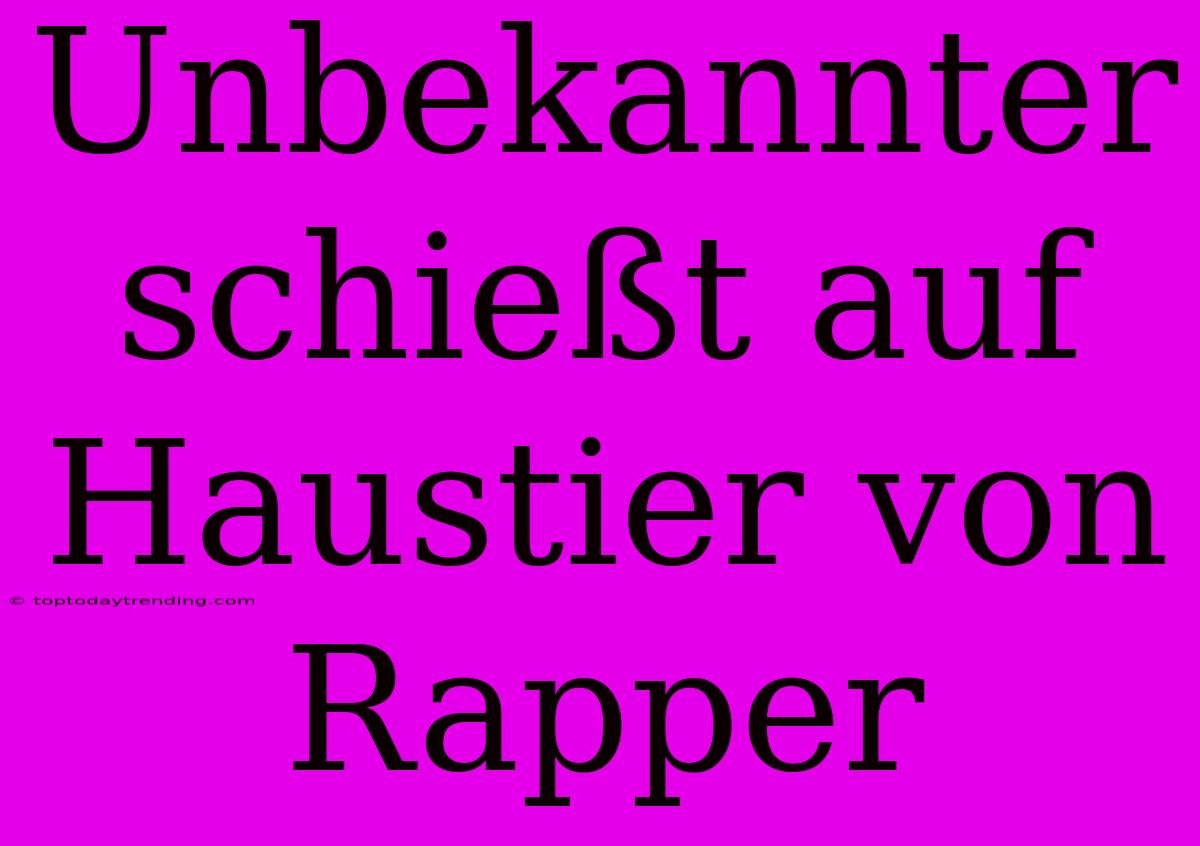 Unbekannter Schießt Auf Haustier Von Rapper