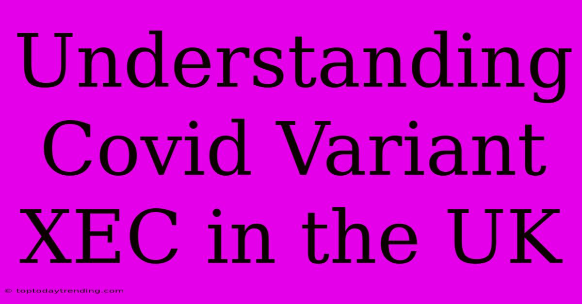 Understanding Covid Variant XEC In The UK