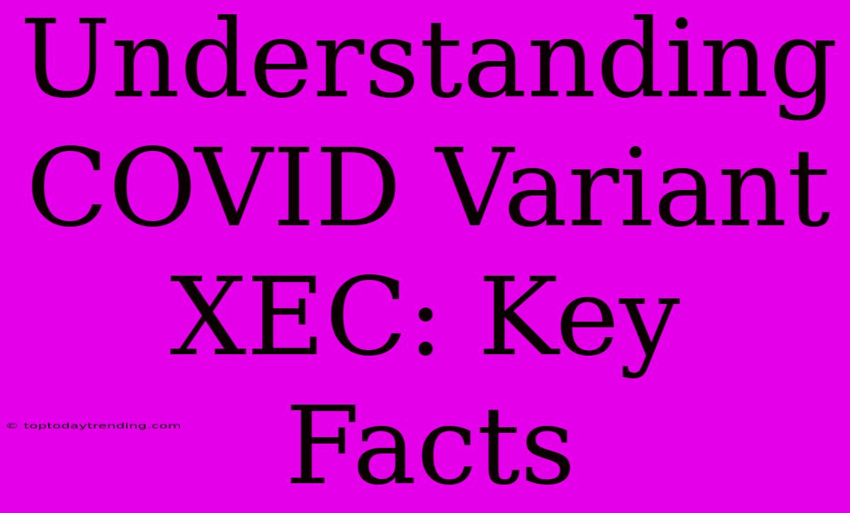 Understanding COVID Variant XEC: Key Facts