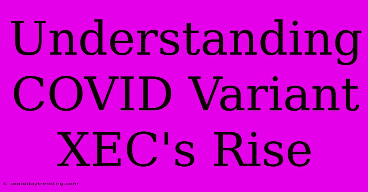 Understanding COVID Variant XEC's Rise