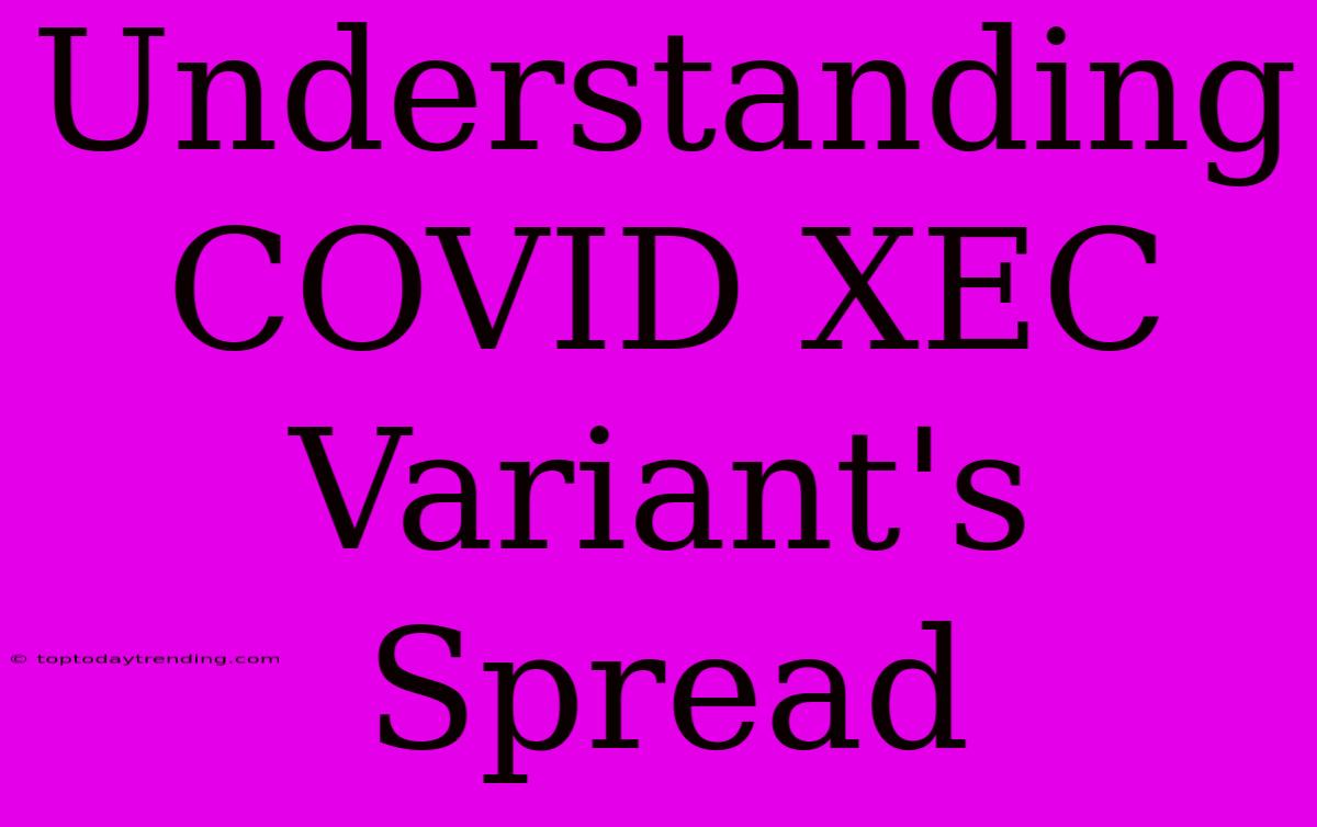 Understanding COVID XEC Variant's Spread