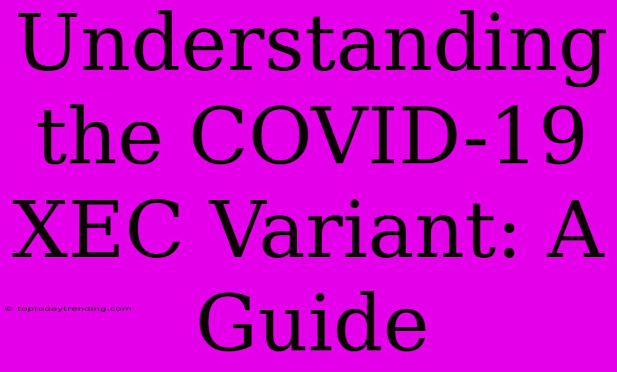 Understanding The COVID-19 XEC Variant: A Guide