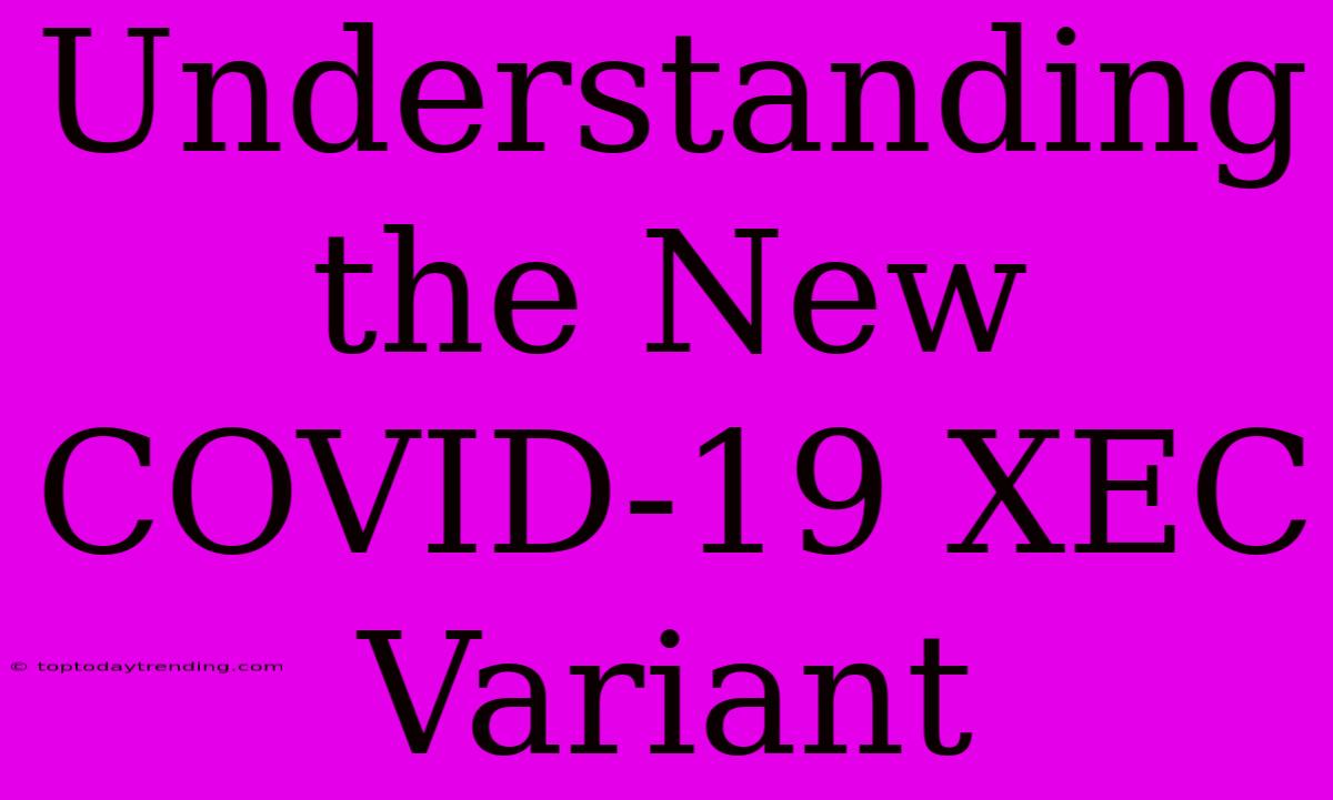 Understanding The New COVID-19 XEC Variant