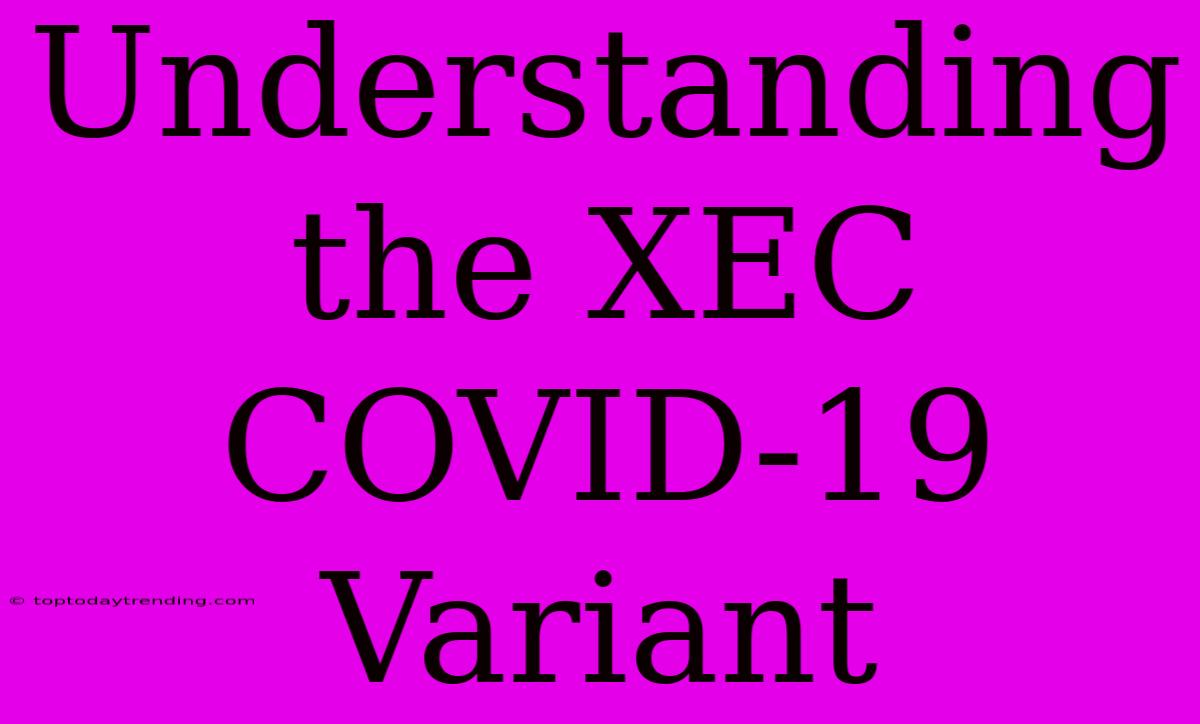 Understanding The XEC COVID-19 Variant