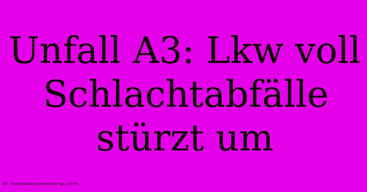 Unfall A3: Lkw Voll Schlachtabfälle Stürzt Um