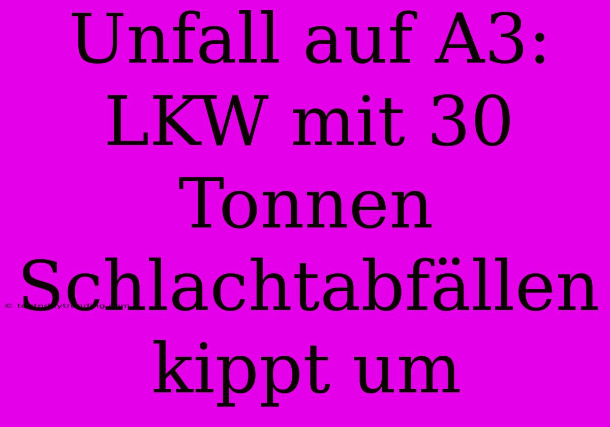 Unfall Auf A3: LKW Mit 30 Tonnen Schlachtabfällen Kippt Um