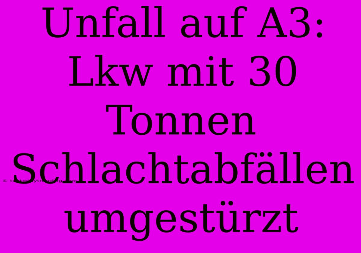 Unfall Auf A3: Lkw Mit 30 Tonnen Schlachtabfällen Umgestürzt