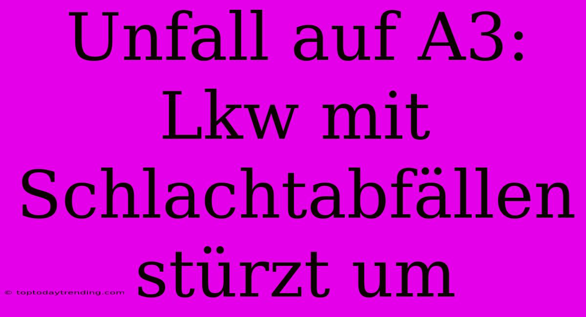 Unfall Auf A3: Lkw Mit Schlachtabfällen Stürzt Um