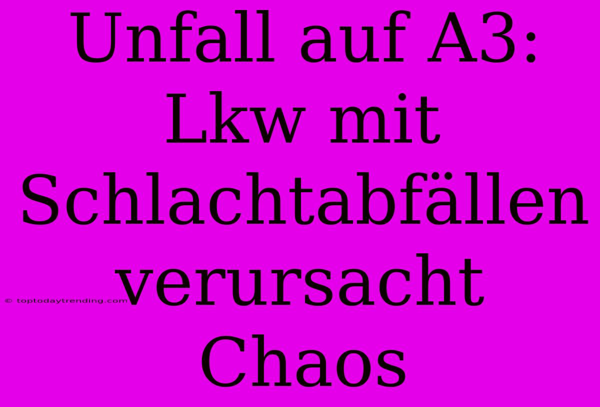 Unfall Auf A3: Lkw Mit Schlachtabfällen Verursacht Chaos