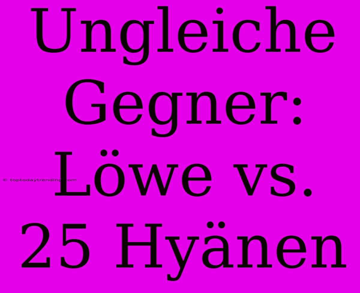 Ungleiche Gegner: Löwe Vs. 25 Hyänen