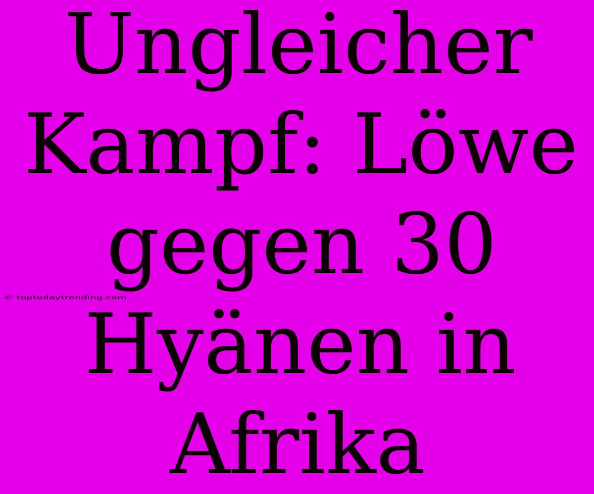 Ungleicher Kampf: Löwe Gegen 30 Hyänen In Afrika