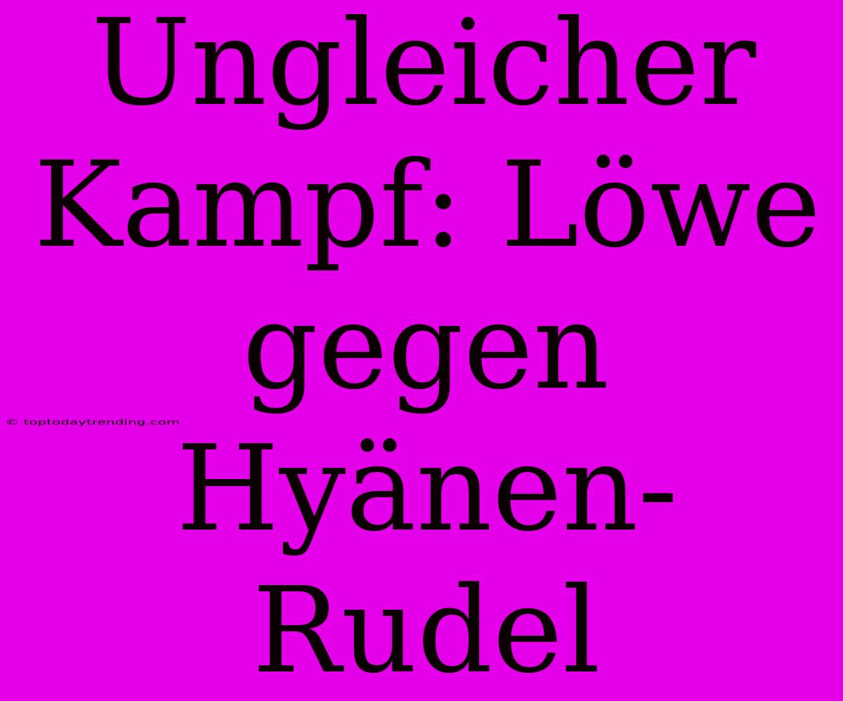 Ungleicher Kampf: Löwe Gegen Hyänen-Rudel