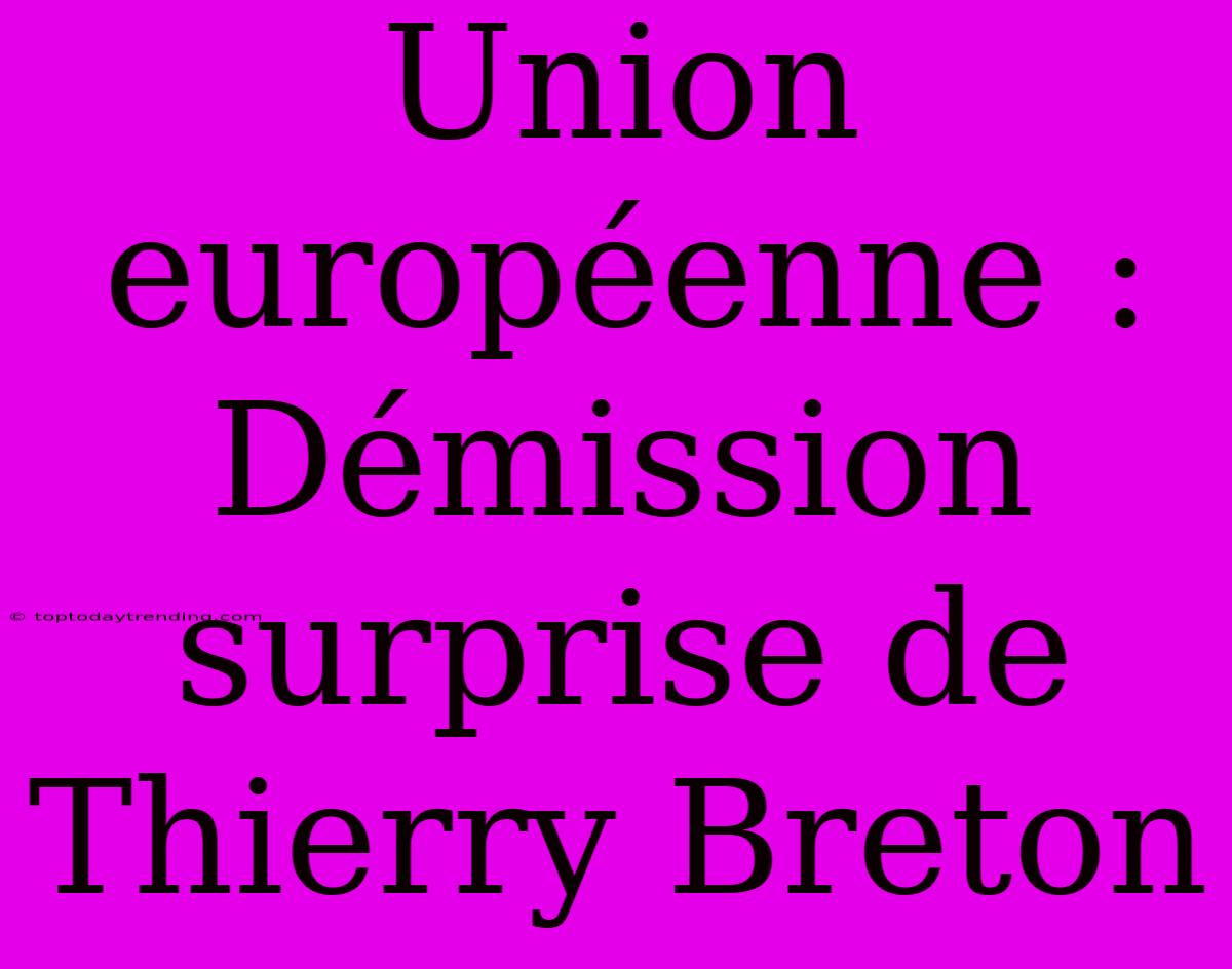 Union Européenne : Démission Surprise De Thierry Breton