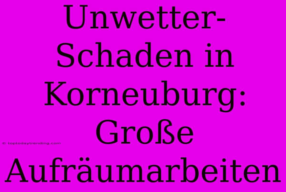 Unwetter-Schaden In Korneuburg: Große Aufräumarbeiten