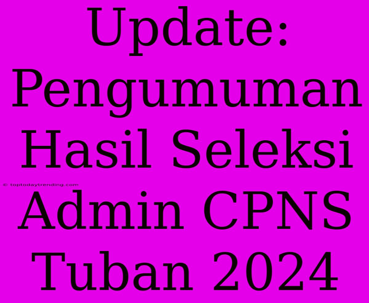 Update: Pengumuman Hasil Seleksi Admin CPNS Tuban 2024