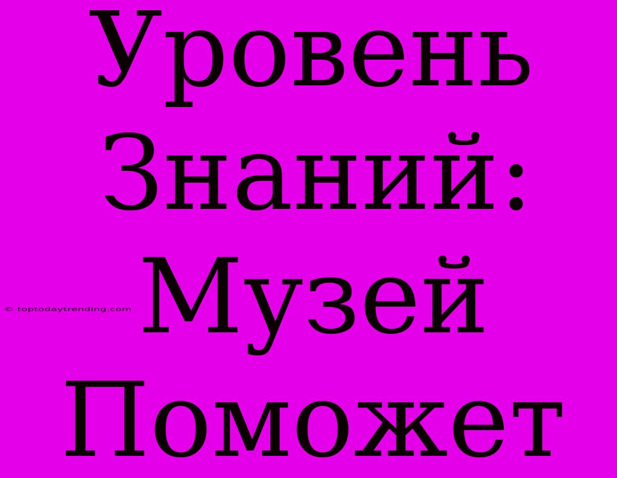 Уровень Знаний: Музей Поможет