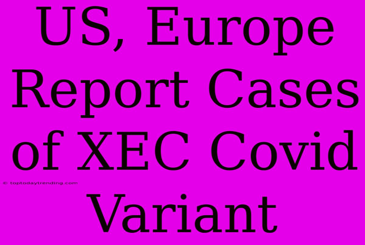 US, Europe Report Cases Of XEC Covid Variant