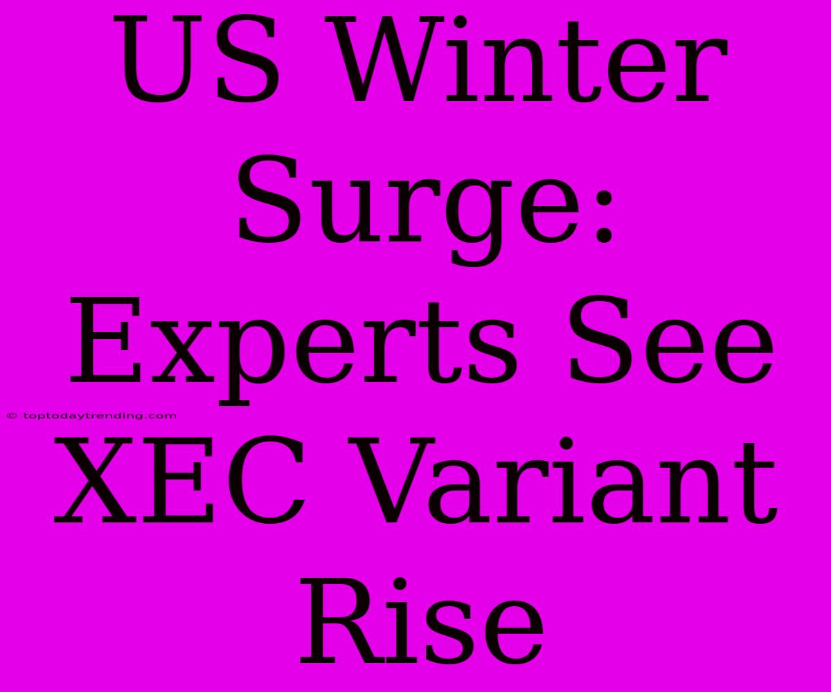 US Winter Surge: Experts See XEC Variant Rise