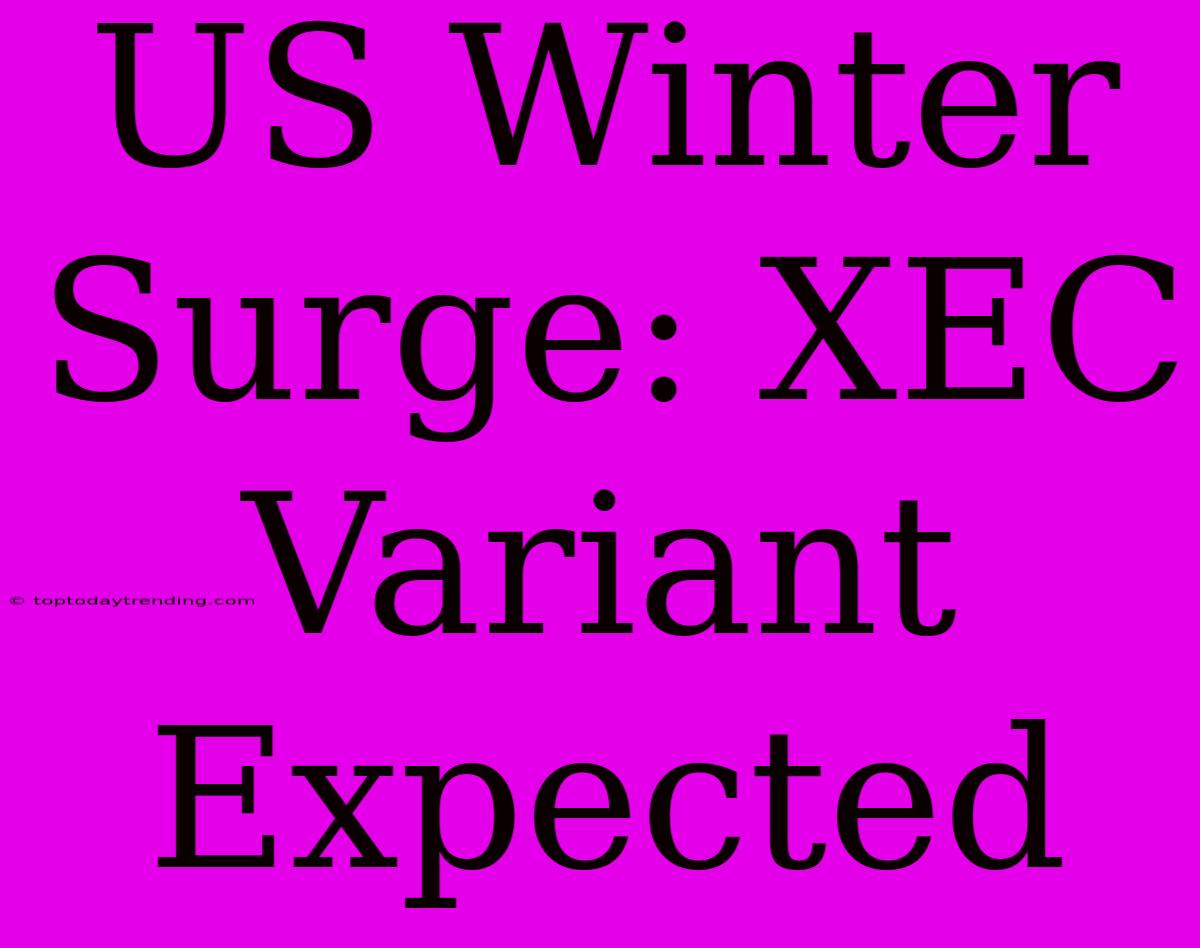 US Winter Surge: XEC Variant Expected