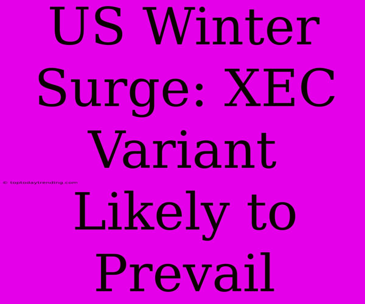 US Winter Surge: XEC Variant Likely To Prevail