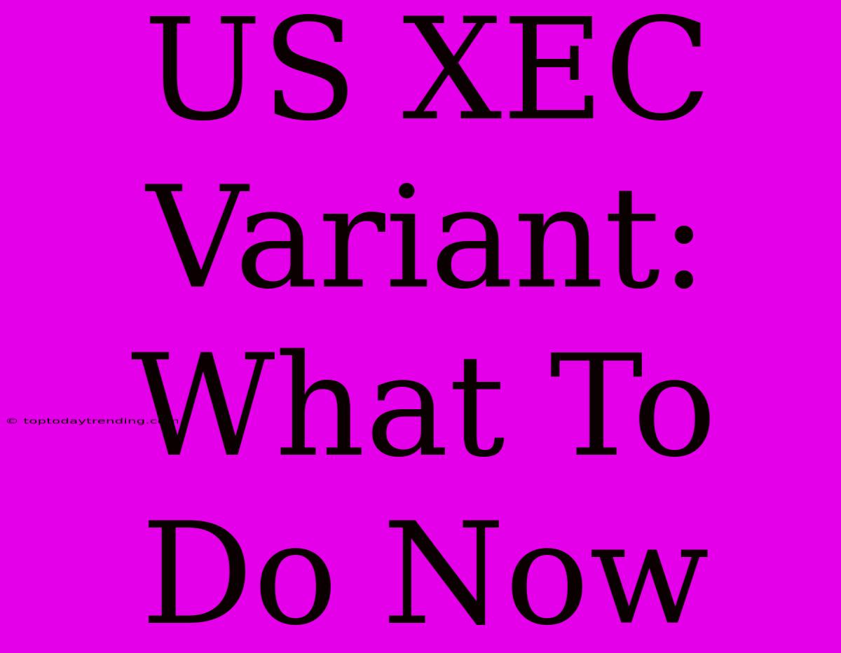 US XEC Variant: What To Do Now