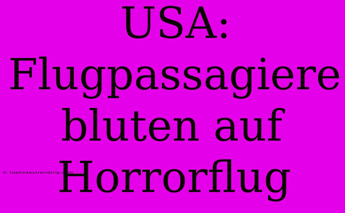 USA: Flugpassagiere Bluten Auf Horrorflug