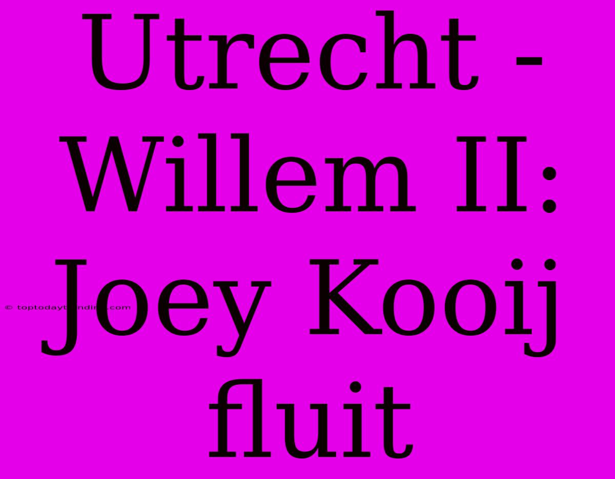 Utrecht - Willem II: Joey Kooij Fluit