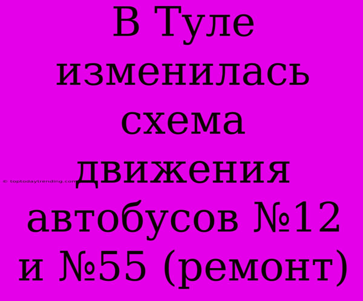 В Туле Изменилась Схема Движения Автобусов №12 И №55 (ремонт)