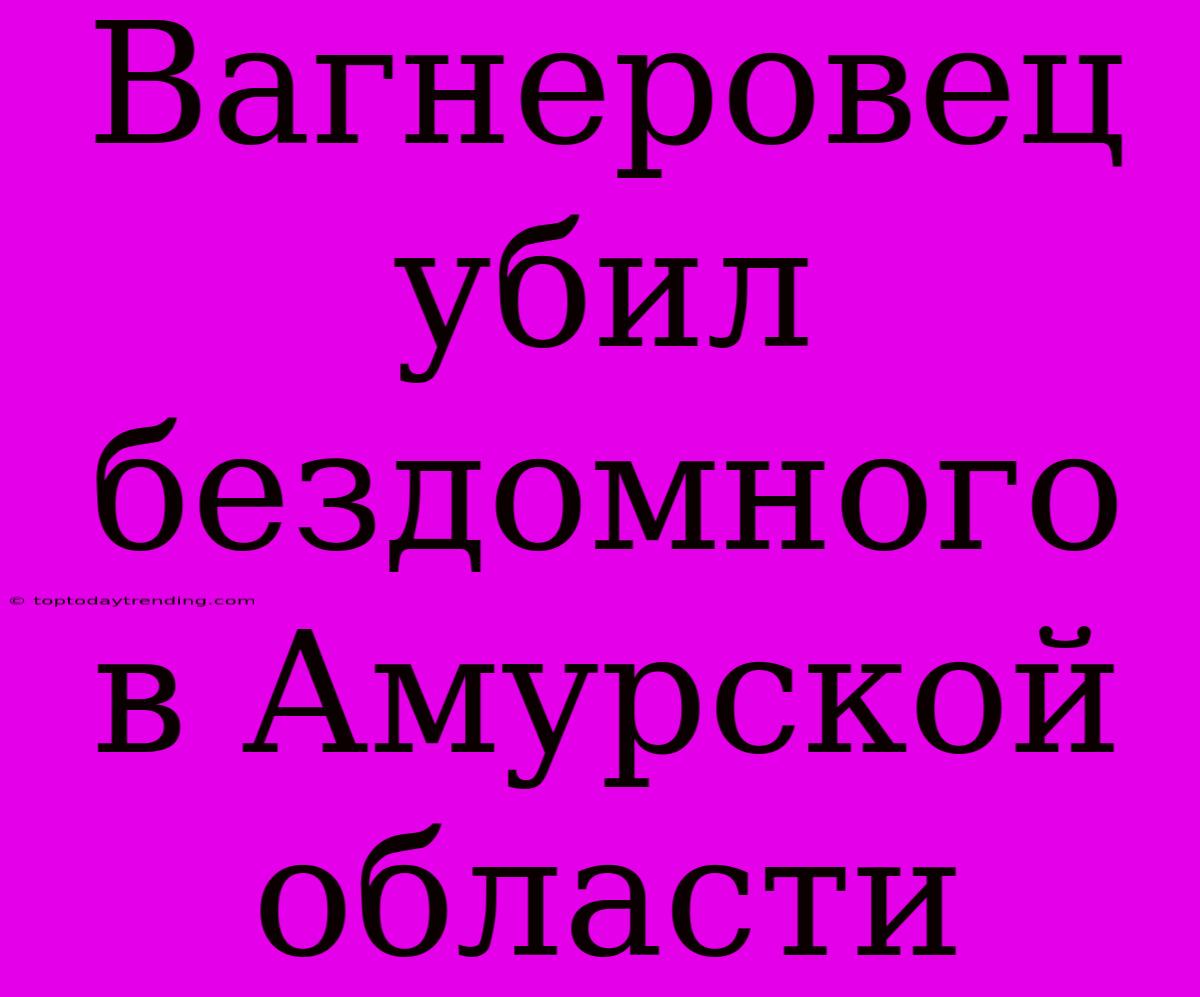 Вагнеровец Убил Бездомного В Амурской Области