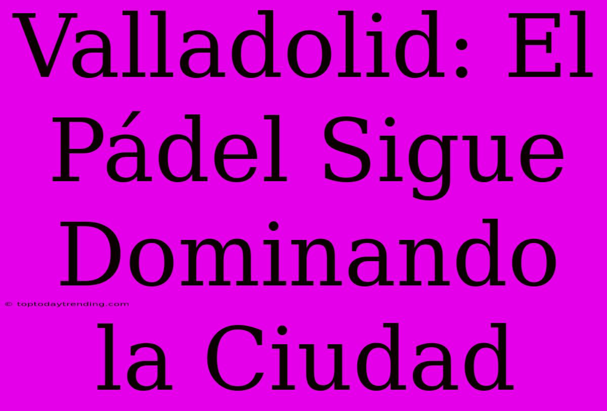 Valladolid: El Pádel Sigue Dominando La Ciudad