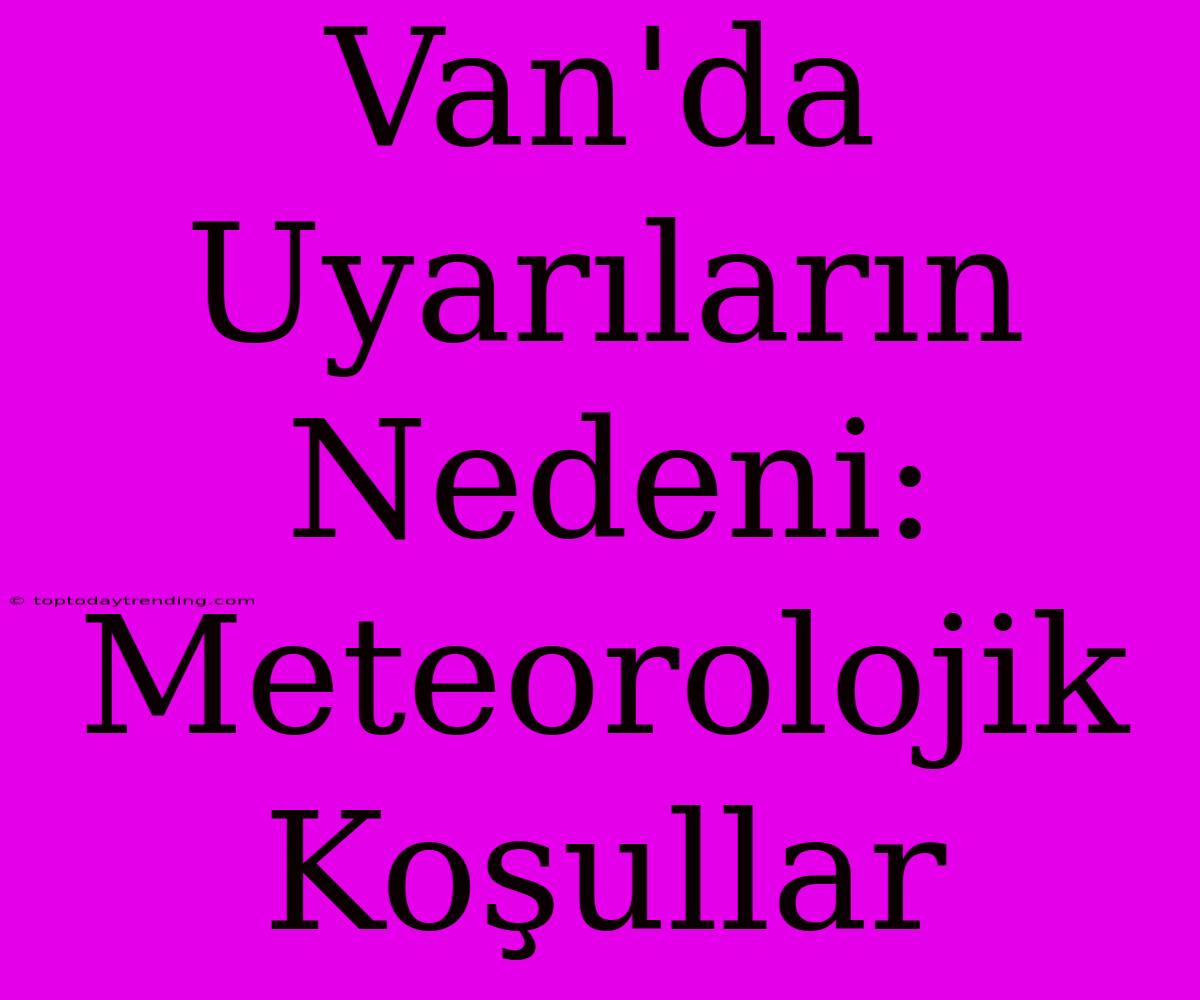 Van'da Uyarıların Nedeni: Meteorolojik Koşullar