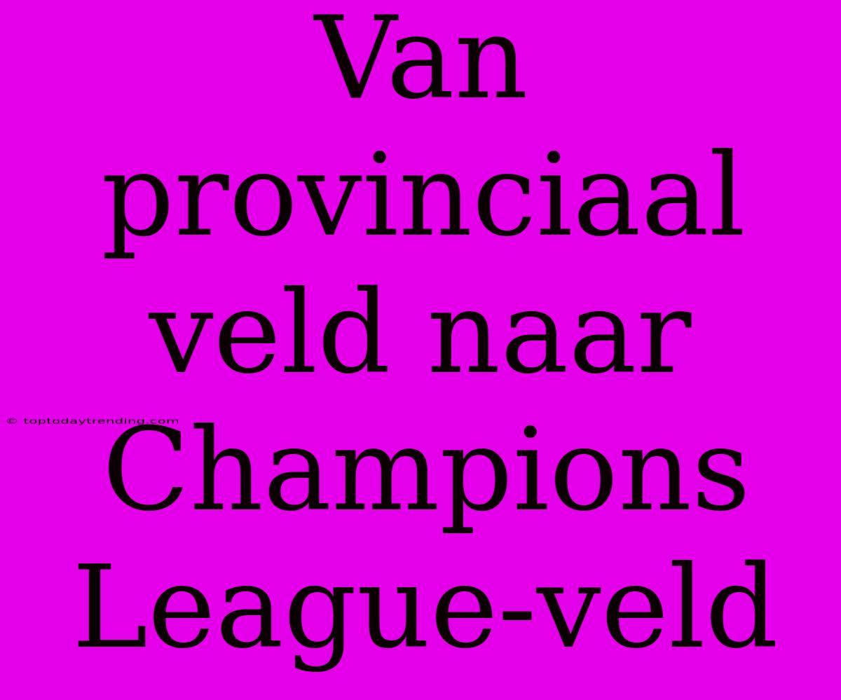 Van Provinciaal Veld Naar Champions League-veld