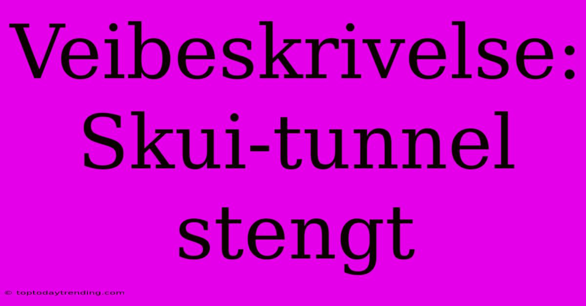 Veibeskrivelse: Skui-tunnel Stengt