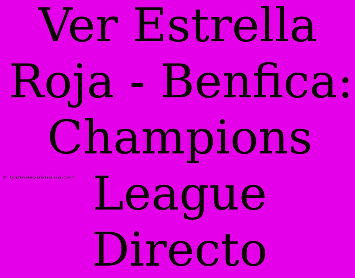 Ver Estrella Roja - Benfica: Champions League Directo