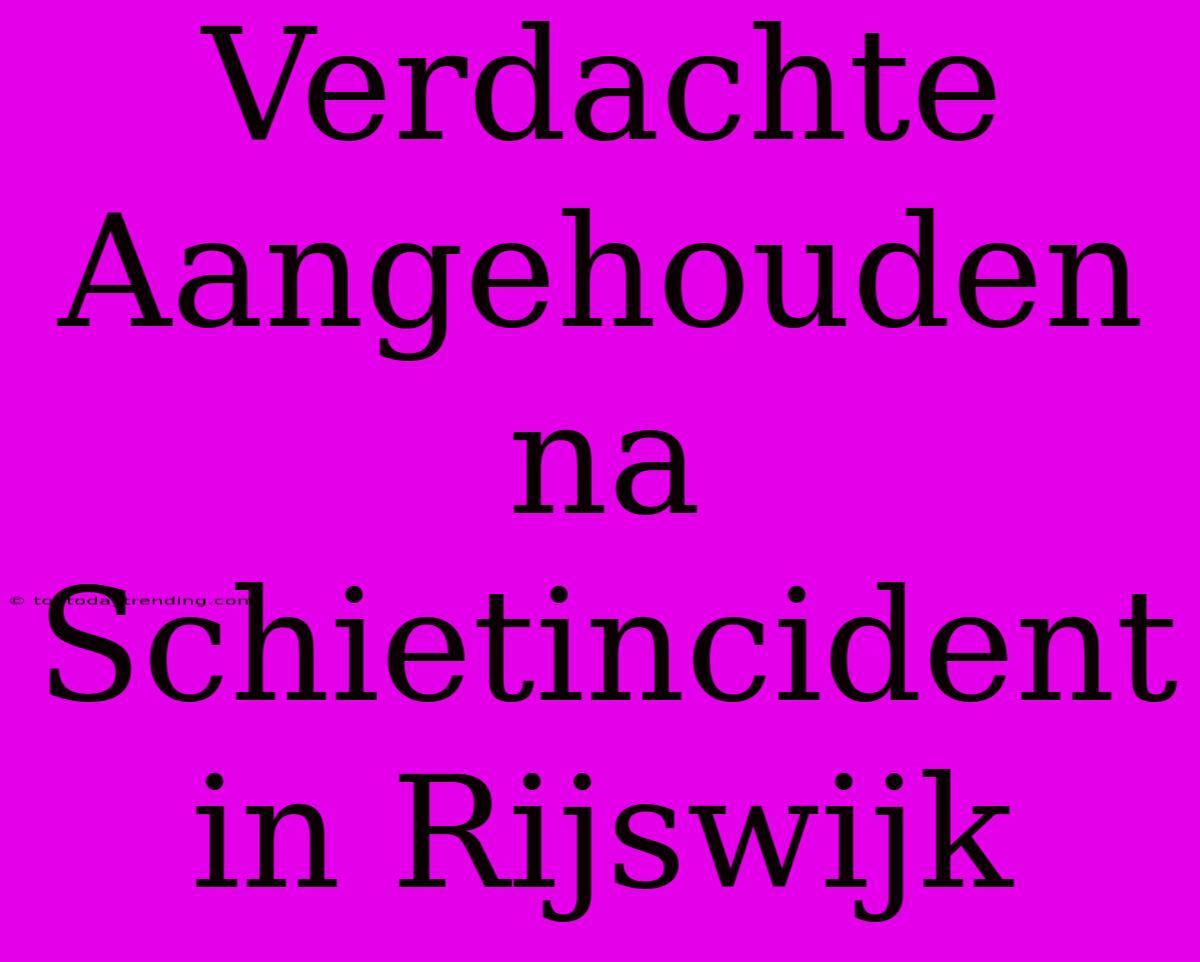 Verdachte Aangehouden Na Schietincident In Rijswijk