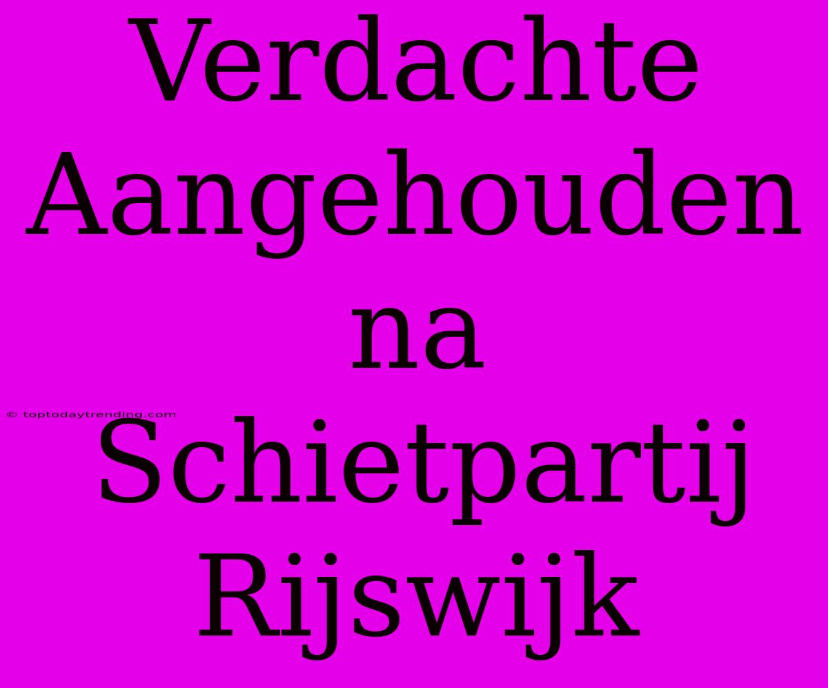 Verdachte Aangehouden Na Schietpartij Rijswijk